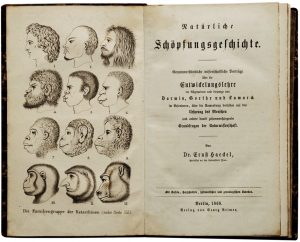 Ernst_Haeckel_-_Natürliche_Schöpfungsgeschichte,_1868